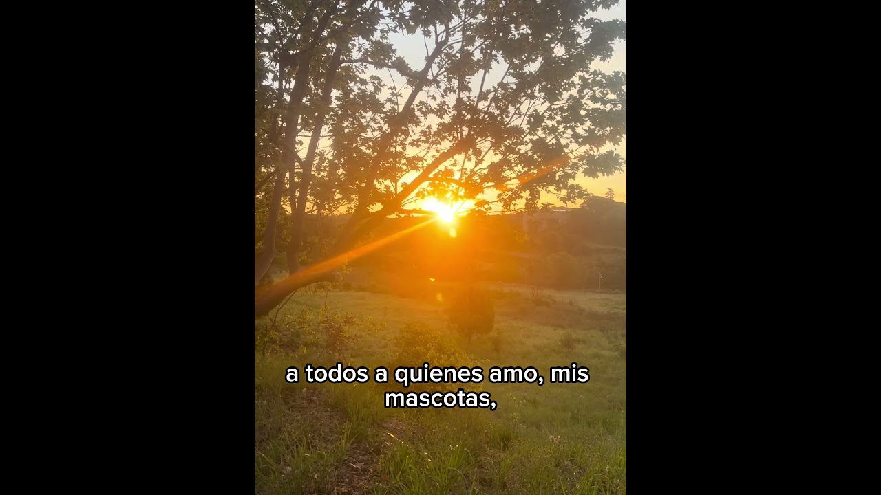 Ritmos circadianos